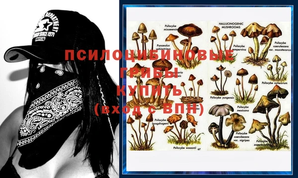 мяу мяу мука Алексин