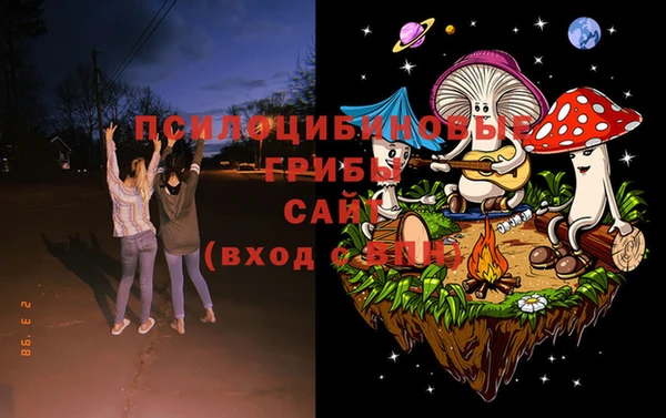 МДПВ Алзамай