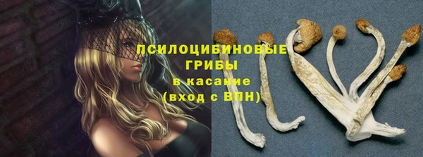 соль курить ск Алексеевка