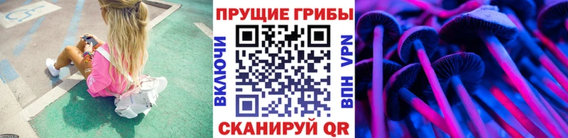 Псилоцибиновые грибы MAGIC MUSHROOMS  Хадыженск 